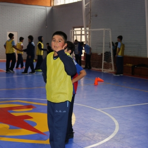 Día de la Actividad Física